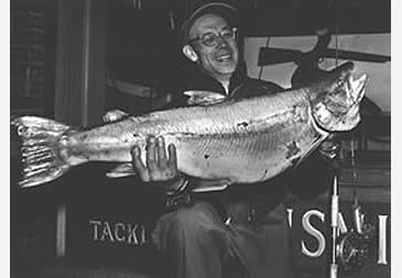 Record photograph for Salvelinus confluentus
